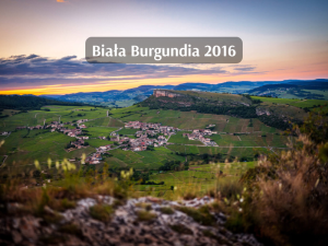 Biała Burgundia 2016 (800 x 600 px)